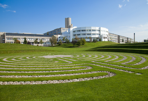 white building behind green grass