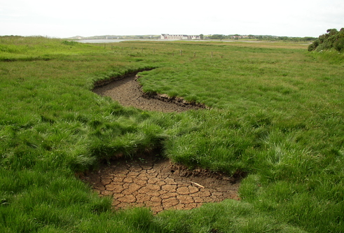 image of small stream which has run dry and dry soil has been exposed, running though a grassy hill