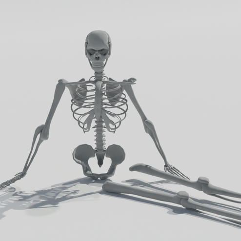 Skeleton sitting in the middle of the frame.