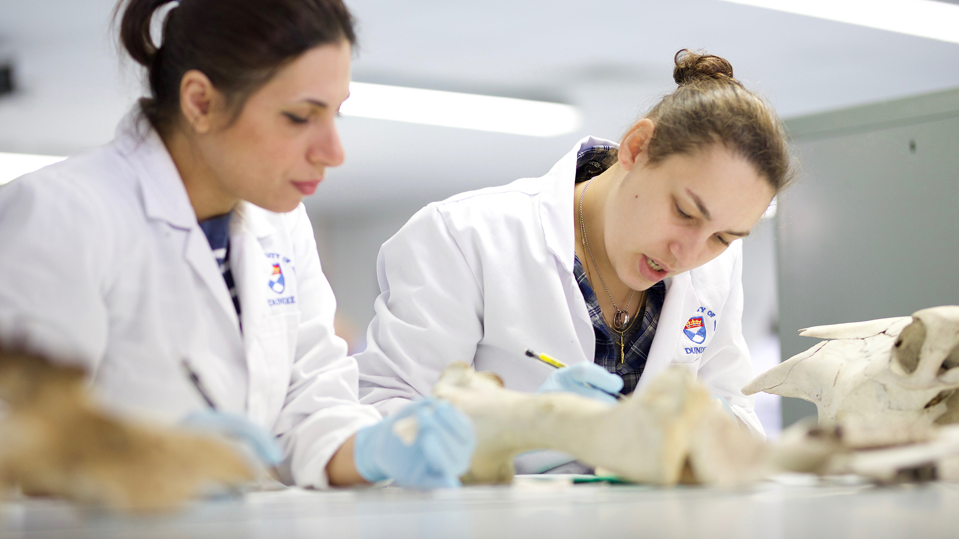 Entry requirements Forensic Anthropology MSc University of Dundee